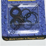 General Pumps K97 Repair Kit - KIT 97